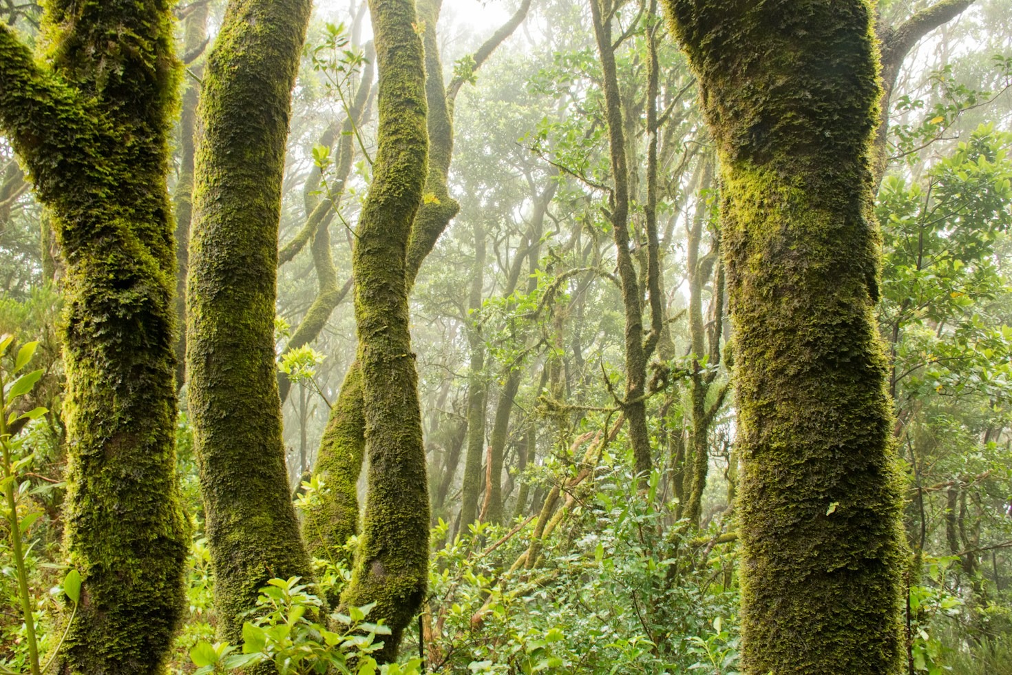 Practical Strategies for Grounding Through Severe Anxiety